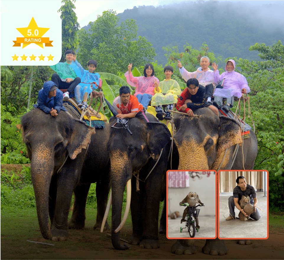 Elephant Trekking & Monkey Show