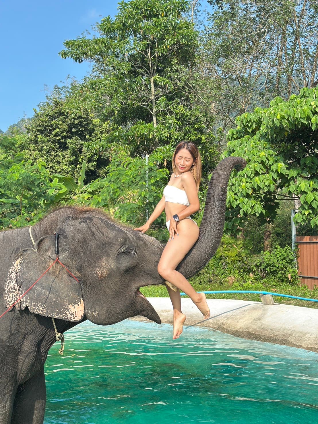 Program D Shower with Elephant & ATV