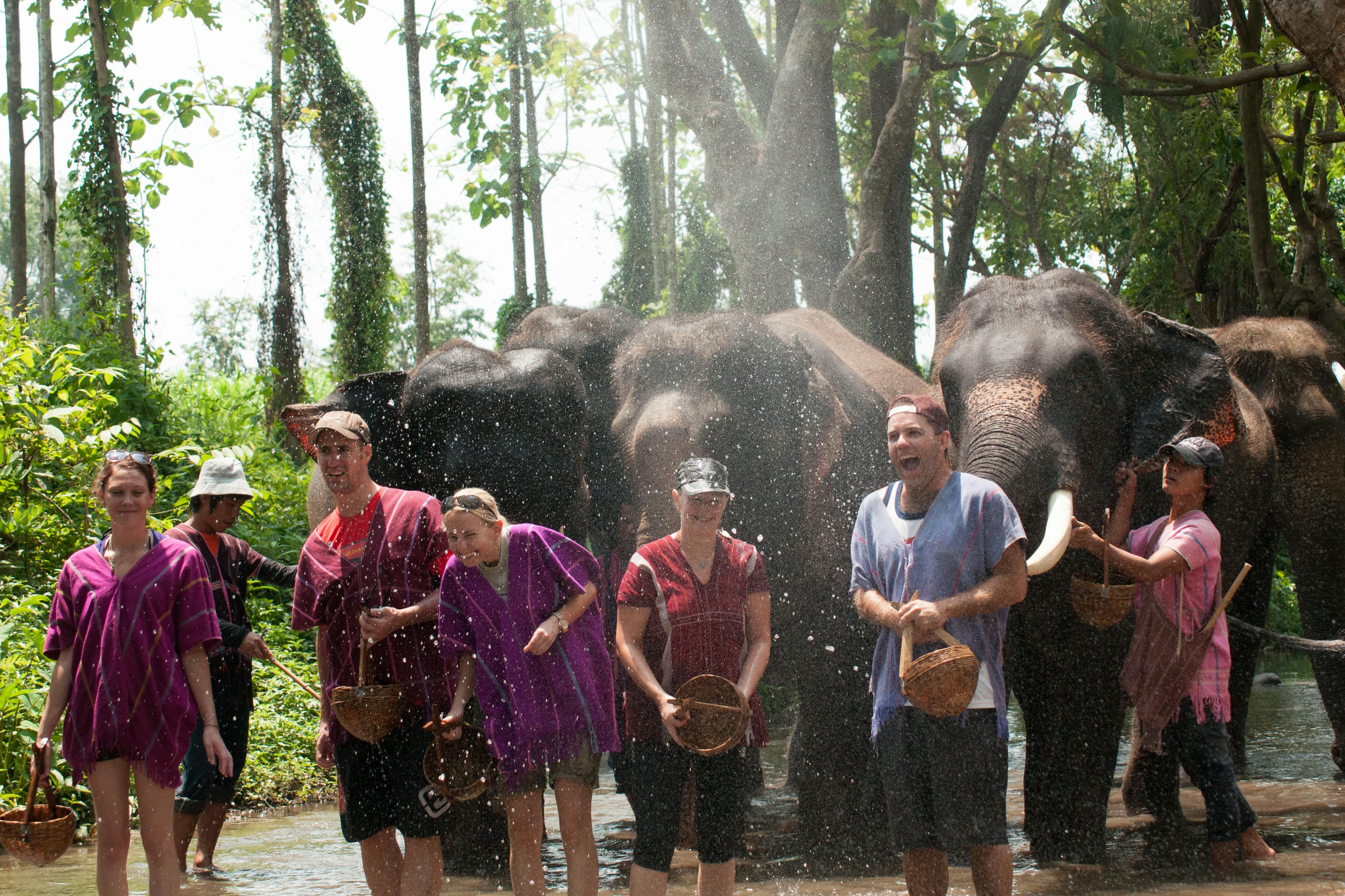 Program A Play with elephants