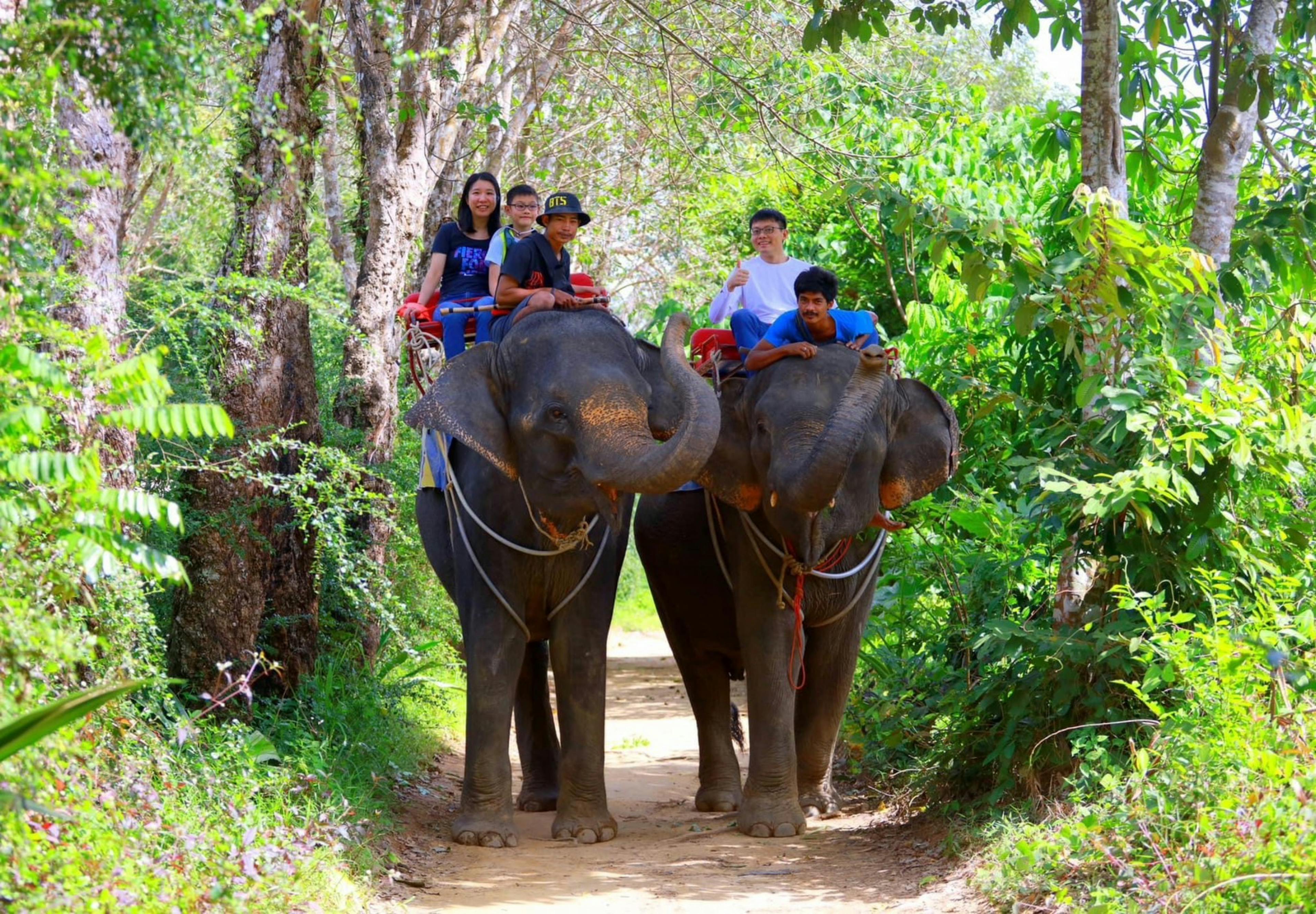Program C Walk with elephants