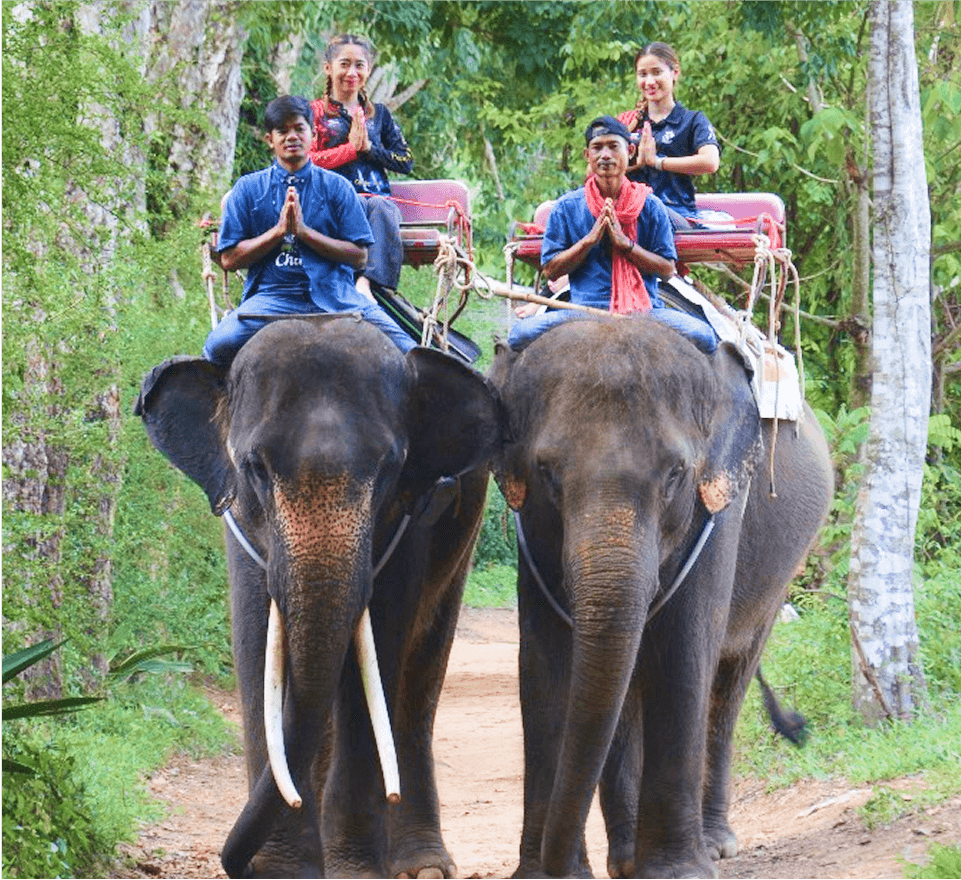 Elephant Trekking