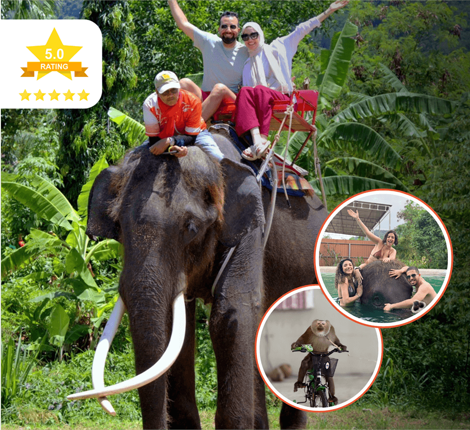 Elephant Trekking , Shower with Elephant , Monkey Show