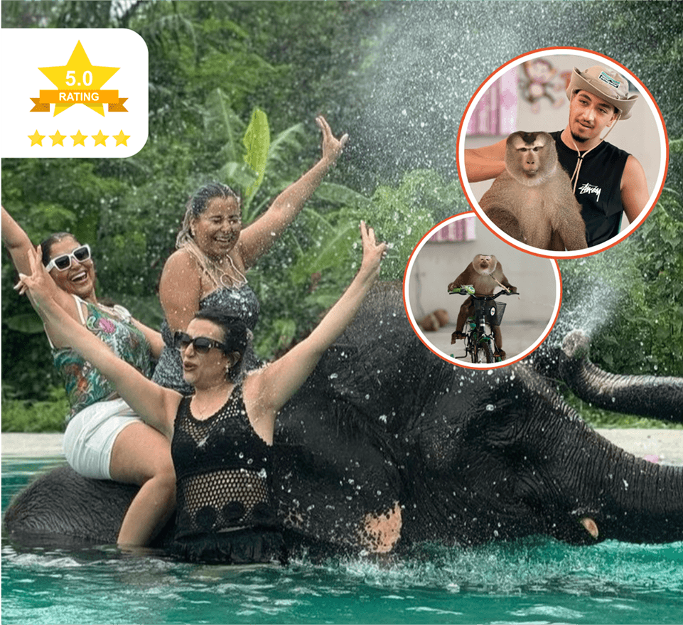 Shower with Elephant & Monkey Show